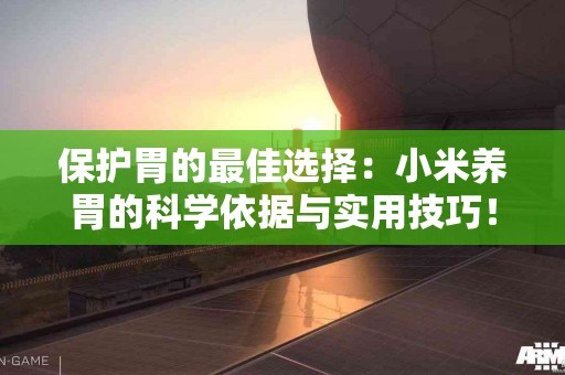 保护胃的最佳选择：小米养胃的科学依据与实用技巧！