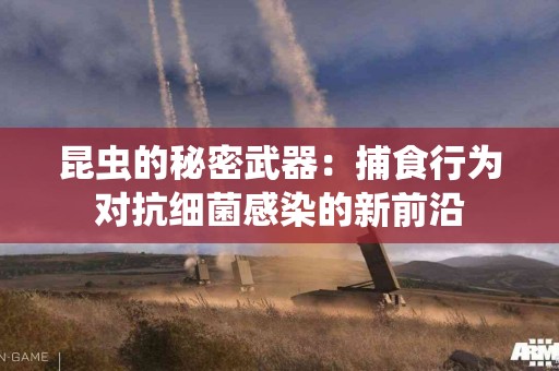 昆虫的秘密武器：捕食行为对抗细菌感染的新前沿