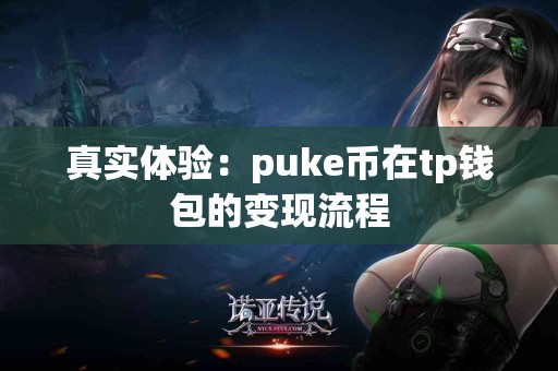真实体验：puke币在tp钱包的变现流程