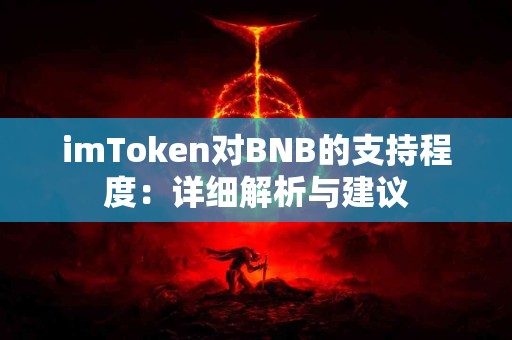 imToken对BNB的支持程度：详细解析与建议