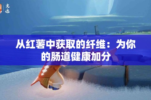 从红薯中获取的纤维：为你的肠道健康加分