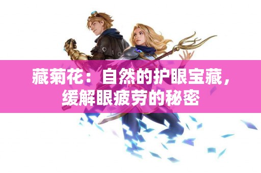 藏菊花：自然的护眼宝藏，缓解眼疲劳的秘密