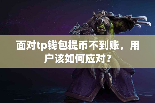 面对tp钱包提币不到账，用户该如何应对？