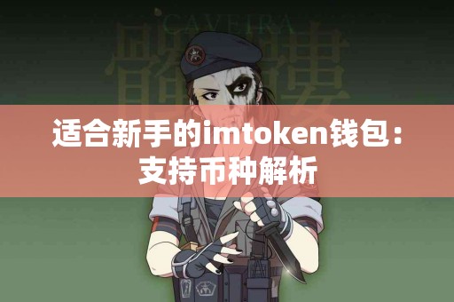 适合新手的imtoken钱包：支持币种解析