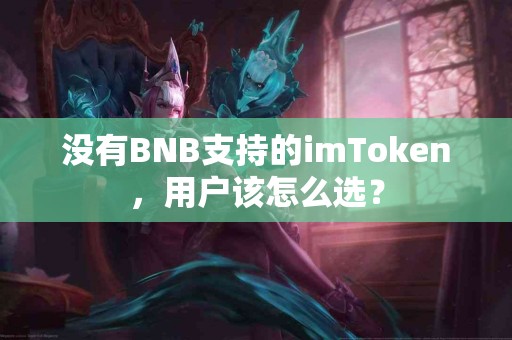 没有BNB支持的imToken，用户该怎么选？