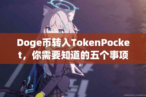 Doge币转入TokenPocket，你需要知道的五个事项