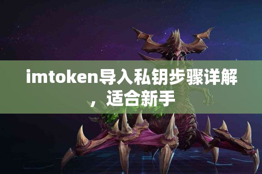 imtoken导入私钥步骤详解，适合新手