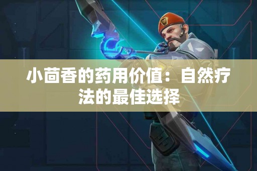 小茴香的药用价值：自然疗法的最佳选择