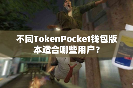 不同TokenPocket钱包版本适合哪些用户？
