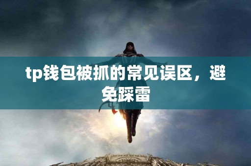 tp钱包被抓的常见误区，避免踩雷