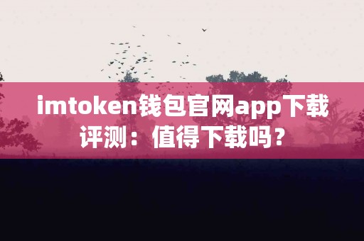 imtoken钱包官网app下载评测：值得下载吗？