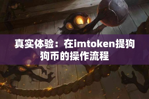 真实体验：在imtoken提狗狗币的操作流程