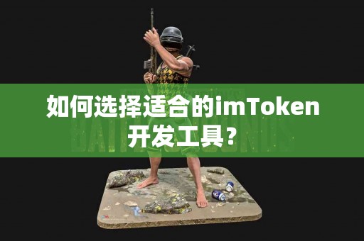 如何选择适合的imToken开发工具？