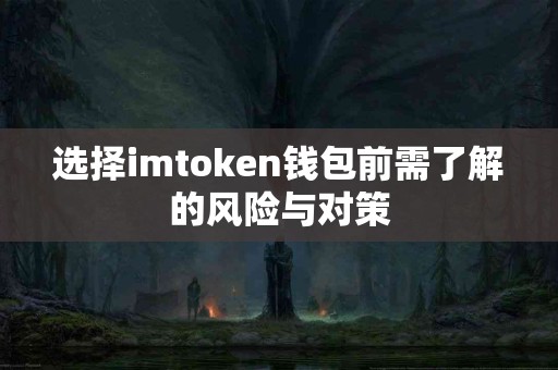 选择imtoken钱包前需了解的风险与对策