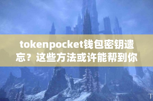 tokenpocket钱包密钥遗忘？这些方法或许能帮到你