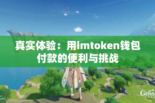 真实体验：用imtoken钱包付款的便利与挑战