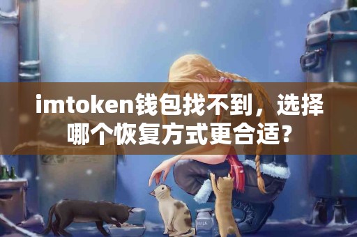 imtoken钱包找不到，选择哪个恢复方式更合适？