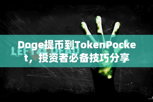 Doge提币到TokenPocket，投资者必备技巧分享
