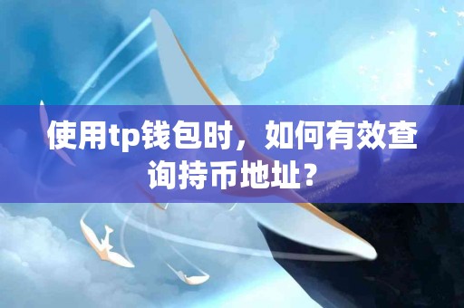 使用tp钱包时，如何有效查询持币地址？