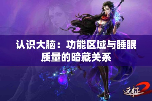 认识大脑：功能区域与睡眠质量的暗藏关系