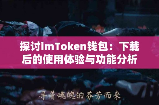 探讨imToken钱包：下载后的使用体验与功能分析