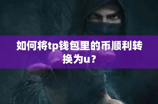 如何将tp钱包里的币顺利转换为u？