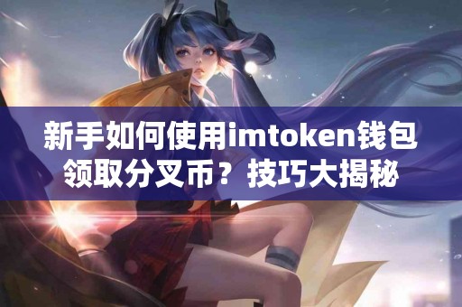 新手如何使用imtoken钱包领取分叉币？技巧大揭秘