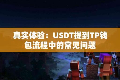 真实体验：USDT提到TP钱包流程中的常见问题