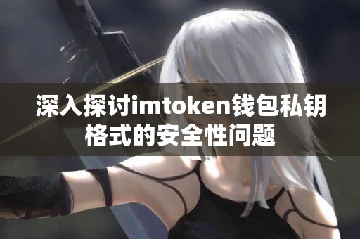 深入探讨imtoken钱包私钥格式的安全性问题