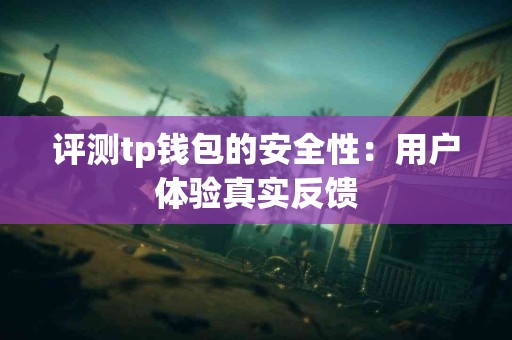 评测tp钱包的安全性：用户体验真实反馈