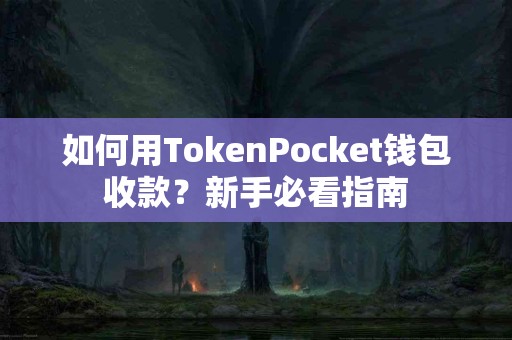 如何用TokenPocket钱包收款？新手必看指南