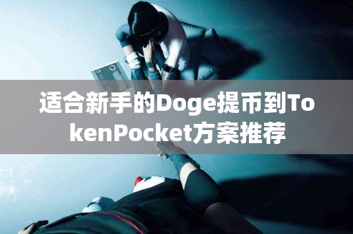 适合新手的Doge提币到TokenPocket方案推荐