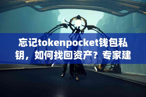 忘记tokenpocket钱包私钥，如何找回资产？专家建议