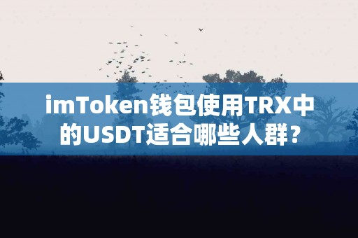 imToken钱包使用TRX中的USDT适合哪些人群？