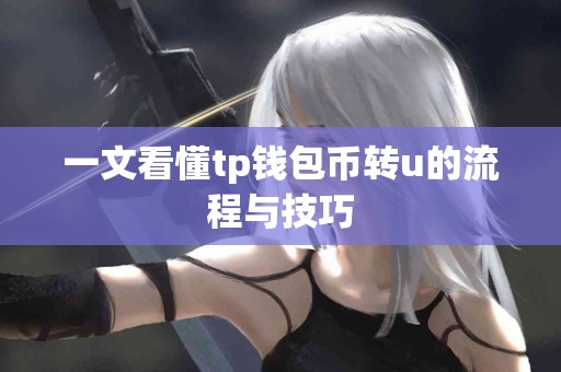 一文看懂tp钱包币转u的流程与技巧