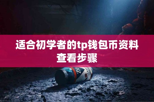 适合初学者的tp钱包币资料查看步骤