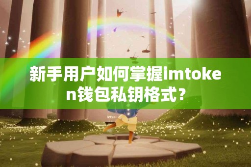 新手用户如何掌握imtoken钱包私钥格式？