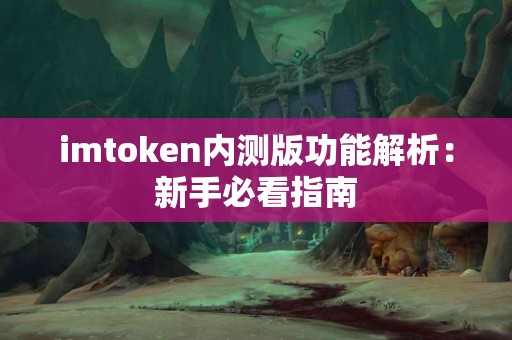 imtoken内测版功能解析：新手必看指南