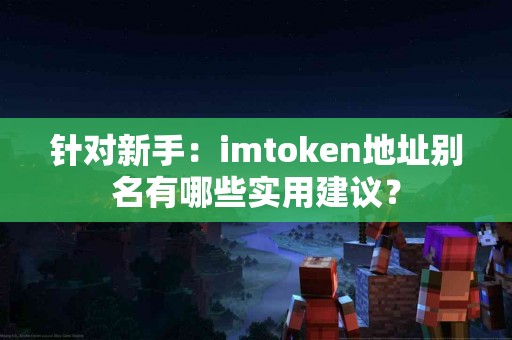 针对新手：imtoken地址别名有哪些实用建议？