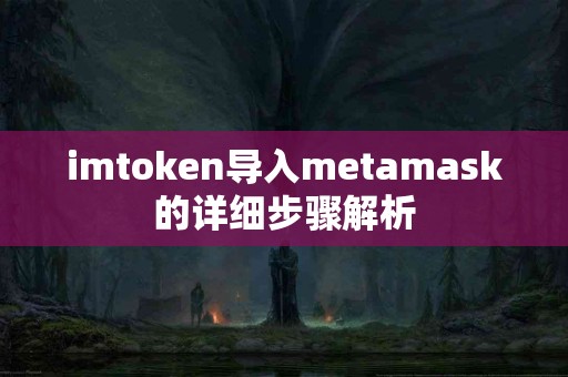 imtoken导入metamask的详细步骤解析