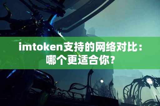 imtoken支持的网络对比：哪个更适合你？