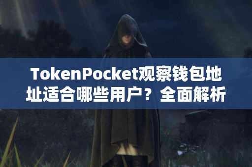 TokenPocket观察钱包地址适合哪些用户？全面解析