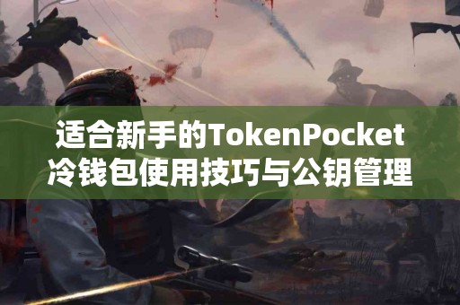 适合新手的TokenPocket冷钱包使用技巧与公钥管理