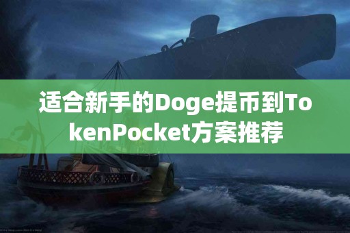 适合新手的Doge提币到TokenPocket方案推荐