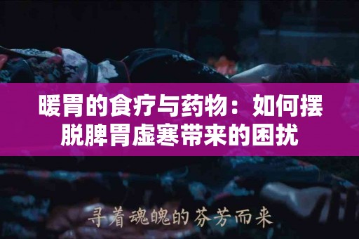 暖胃的食疗与药物：如何摆脱脾胃虚寒带来的困扰