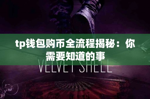 tp钱包购币全流程揭秘：你需要知道的事