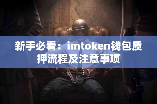 新手必看：imtoken钱包质押流程及注意事项