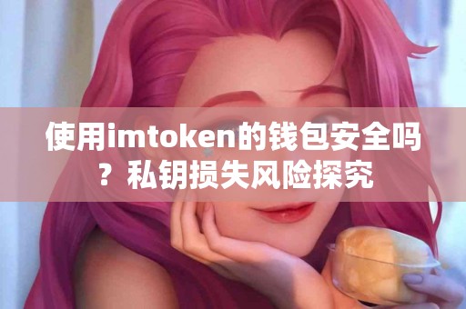 使用imtoken的钱包安全吗？私钥损失风险探究