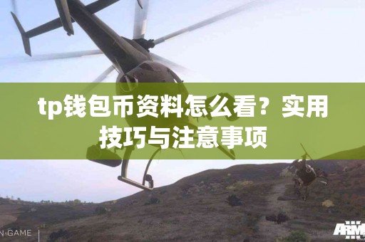 tp钱包币资料怎么看？实用技巧与注意事项
