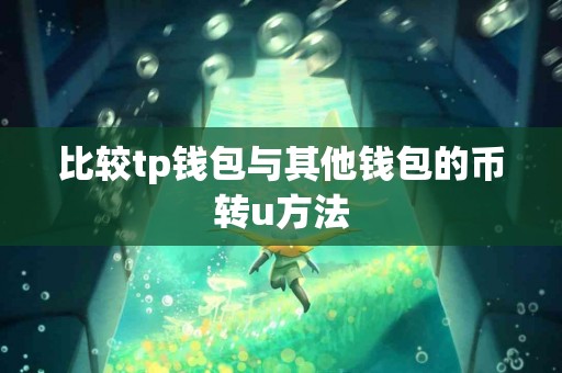 比较tp钱包与其他钱包的币转u方法